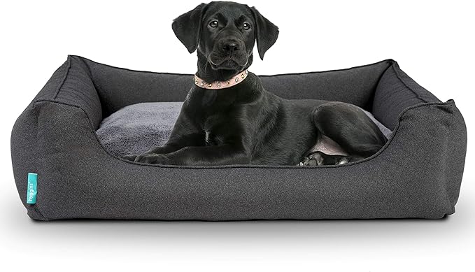 Orthopädisches Hundebett - Hyggins Dreamer Hundebett​