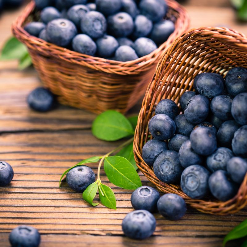 Welche Lebensmittel können Hunde essen - Heidelbeeren - WaldiBello