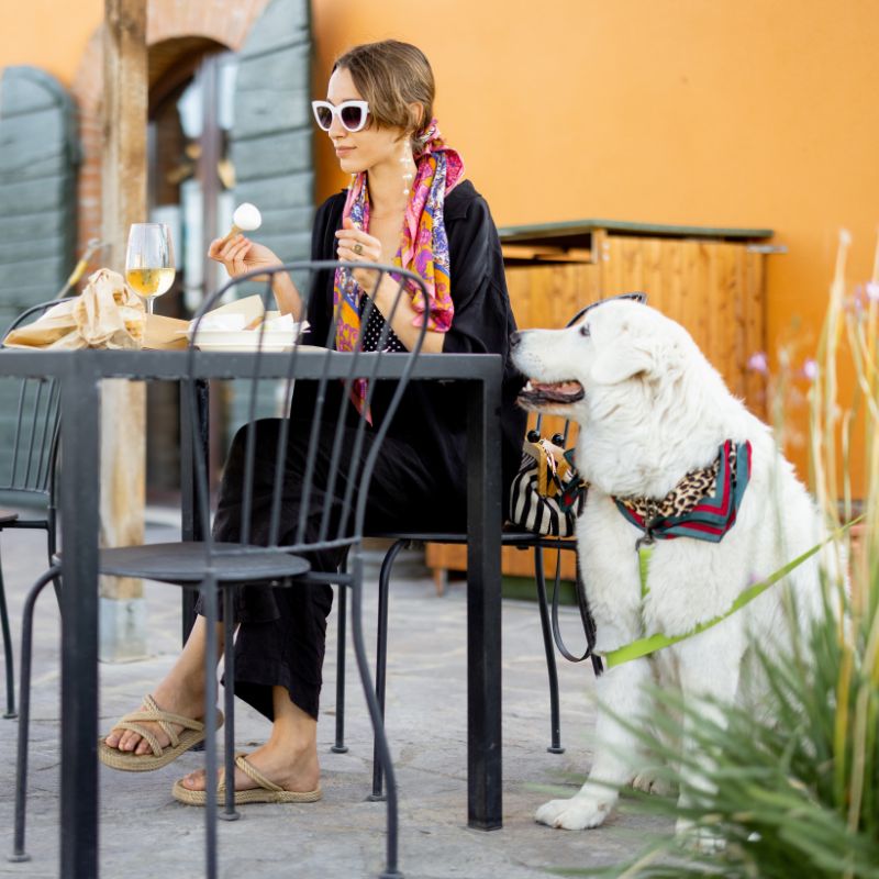 Hunde im Restaurant Tipps für eine stressfreie Erfahrung für alle_ - WaldiBello