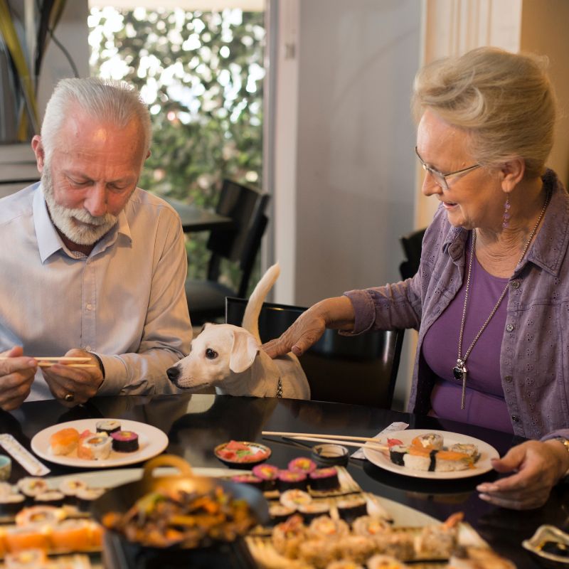 Hunde im Restaurant Tipps für eine stressfreie Erfahrung für alle_ - WaldiBello