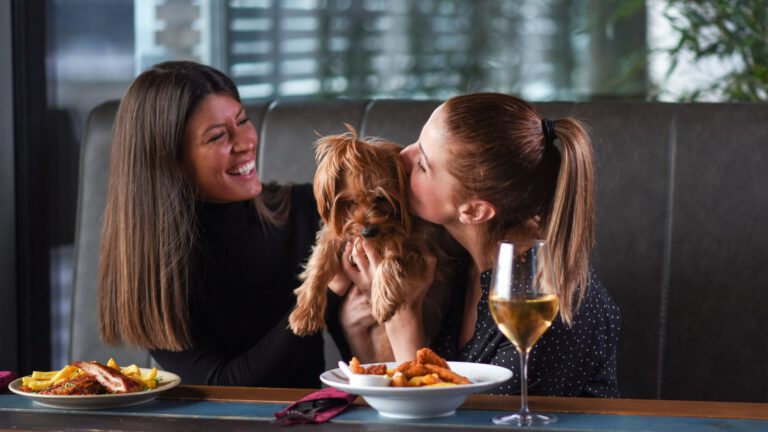 Hunde im Restaurant Tipps für eine stressfreie Erfahrung für alle_ - WaldiBello