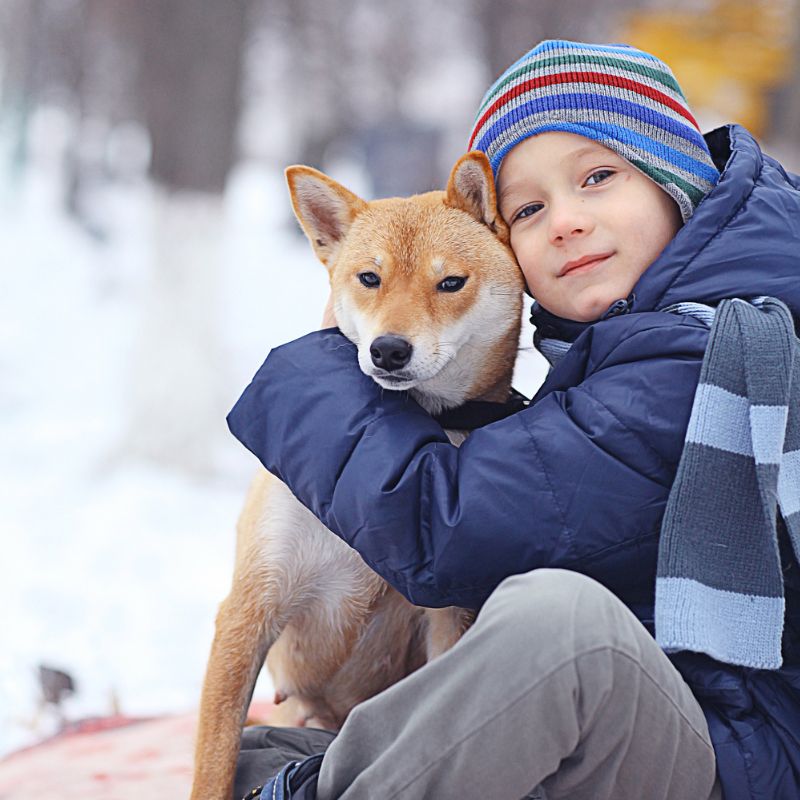 Urlaub mit Hund und Kindern - die besten Reiseziele - WaldiBello