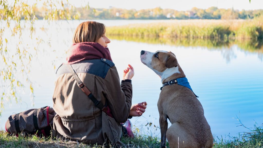 Bindung zum Hund aufbauen - Hundeerziehung - WaldiBello - Haustierblog