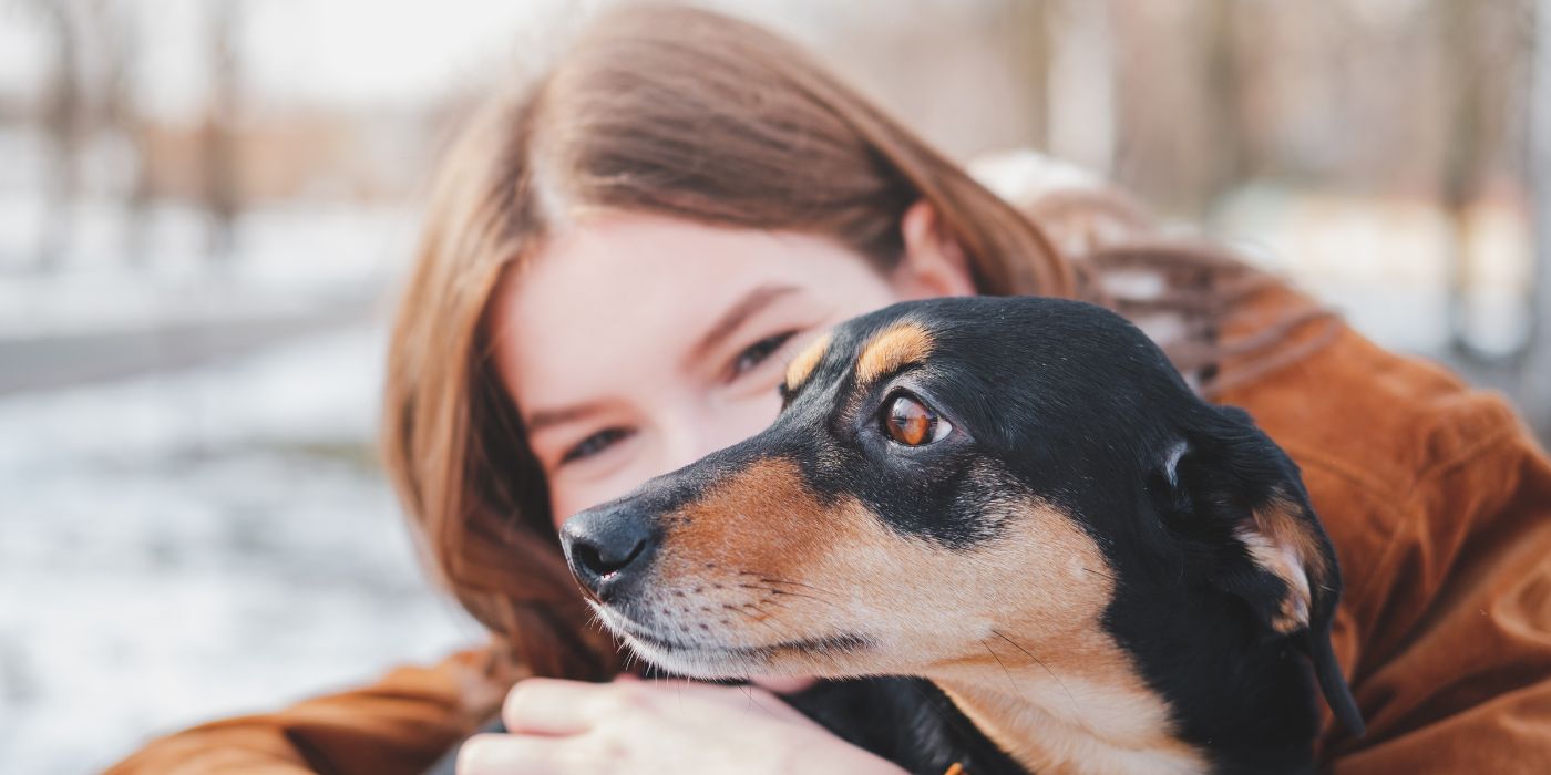 Bindung zum Hund aufbauen - Hundeerziehung - WaldiBello - Haustierblog